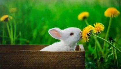 【人物】36岁生日夜，詹姆斯再次击败时光老人